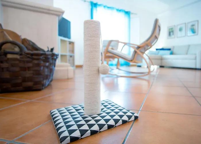 Pe Na Areia By Stay In Alentejo